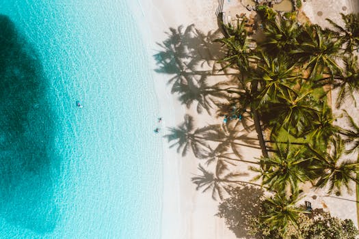 Top Beachfront Resorts in Hawaii with Stunning Views